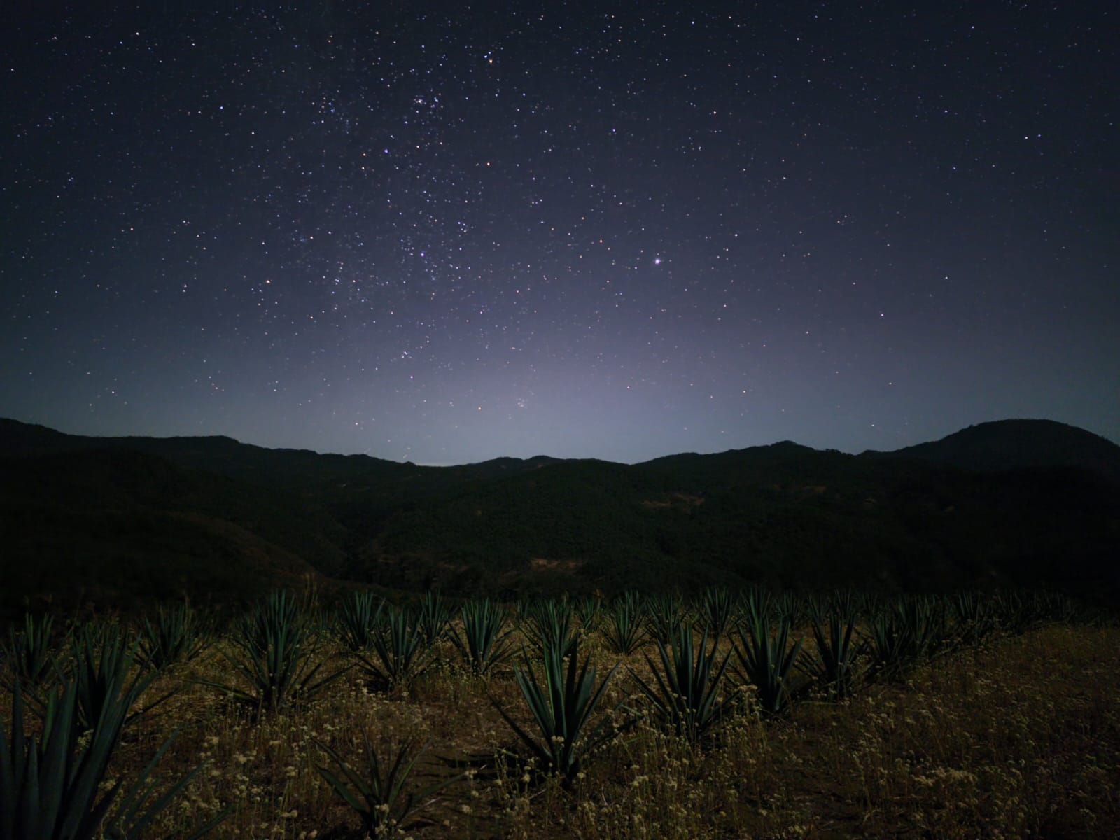 Las Líridas, lluvia de estrellas.