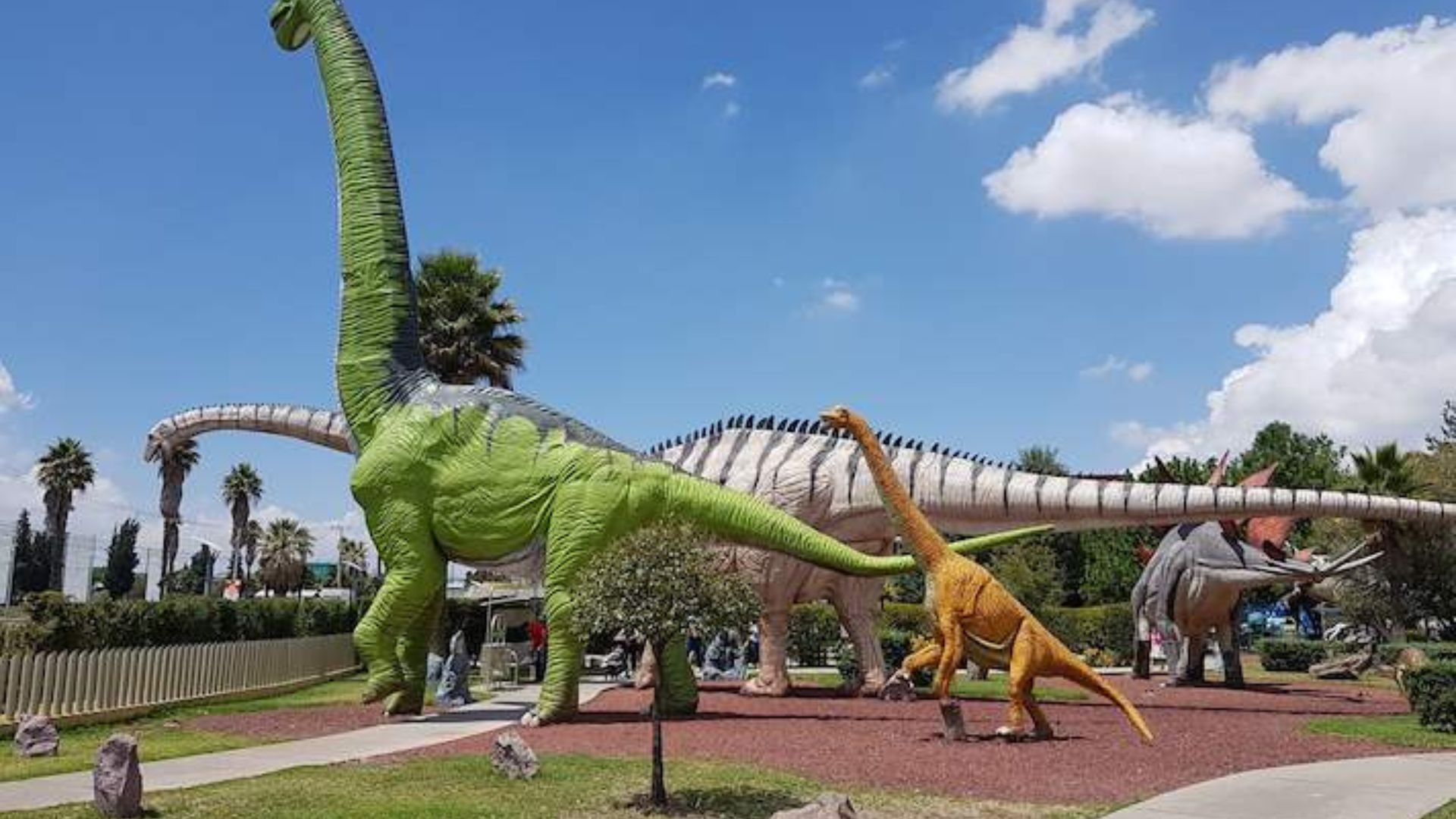 Kids adventure Pachuca salida desde CDMX